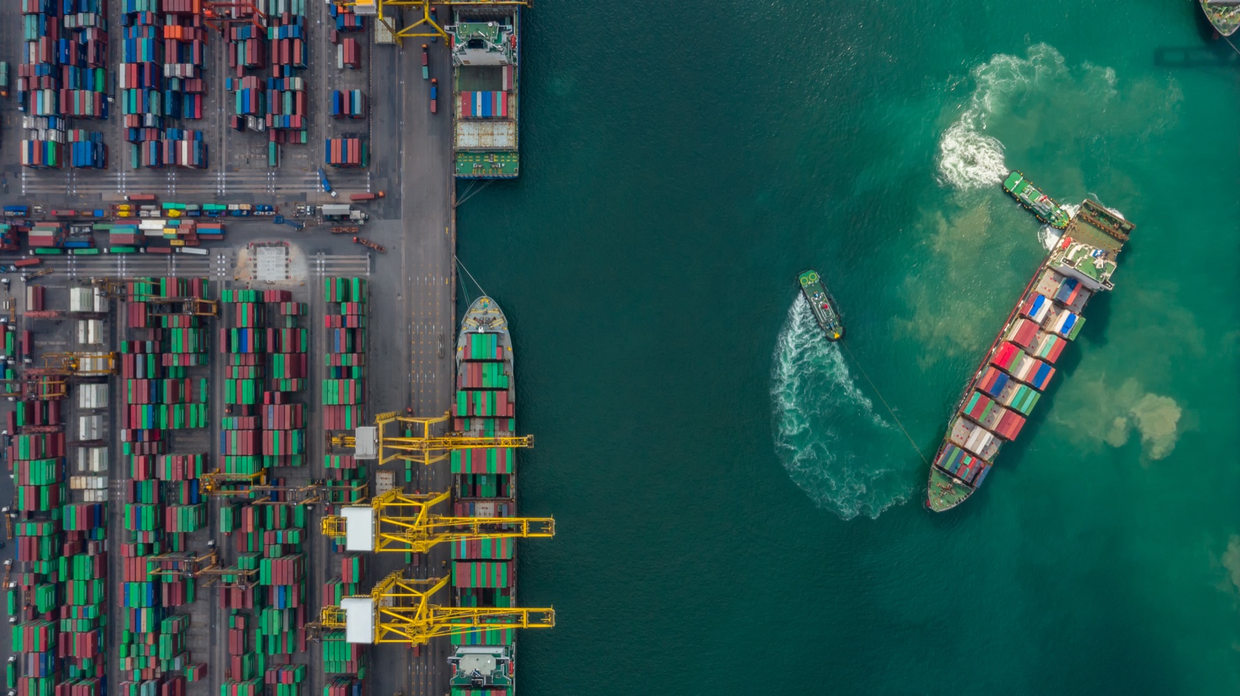 Trade risks to energy security in net-zero emissions energy scenarios